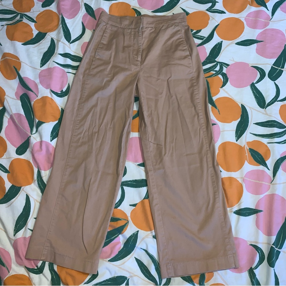 Babaton Aritzia Pants